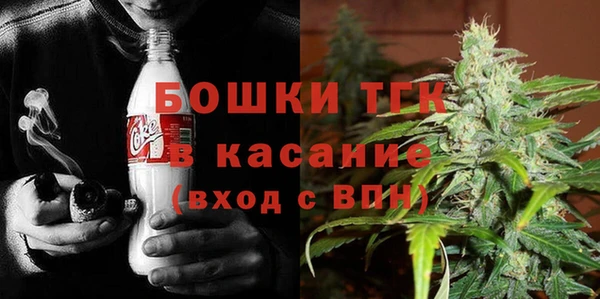 СК Тавда
