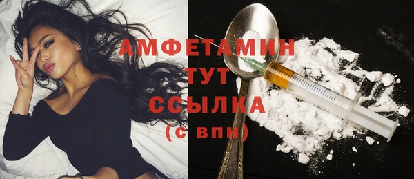 сатива Горнозаводск