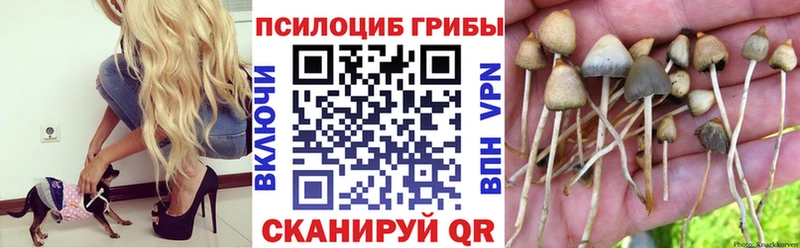 Псилоцибиновые грибы Psilocybine cubensis Отрадный